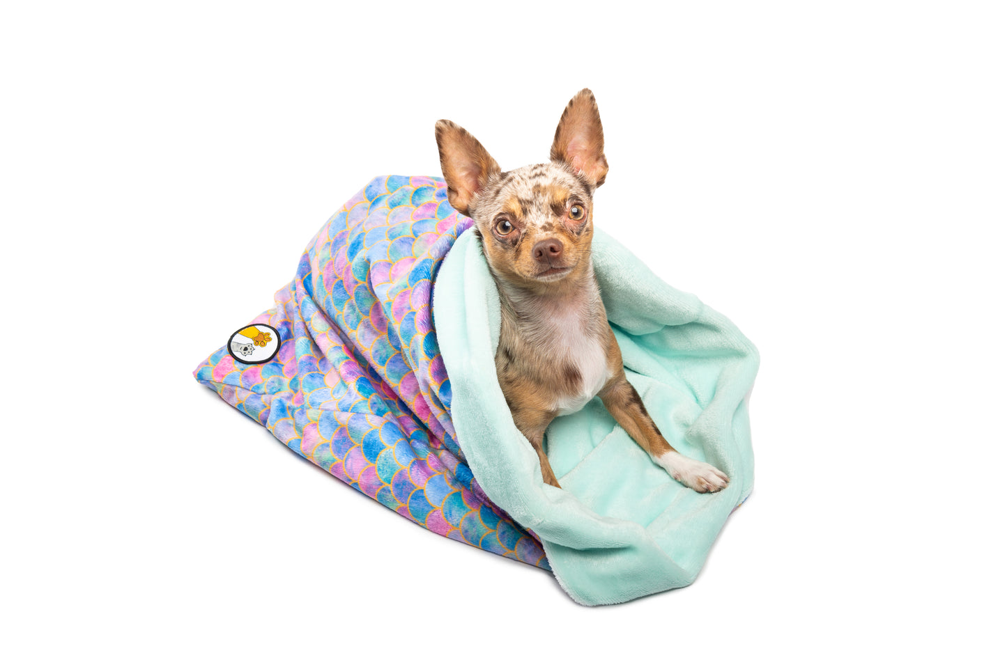 Dog bed