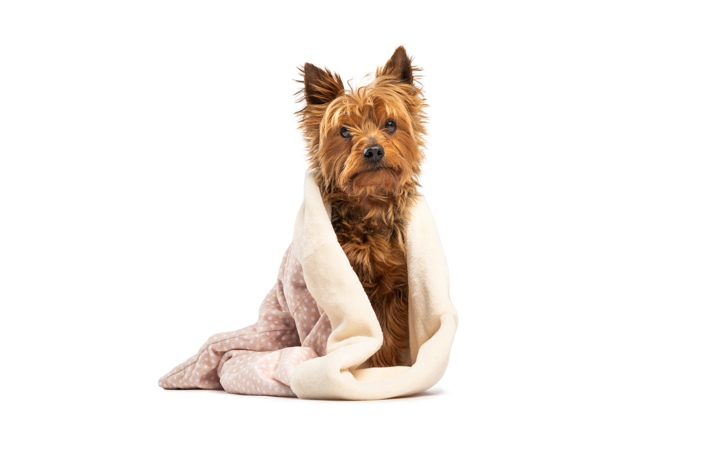 Dog blanket for car