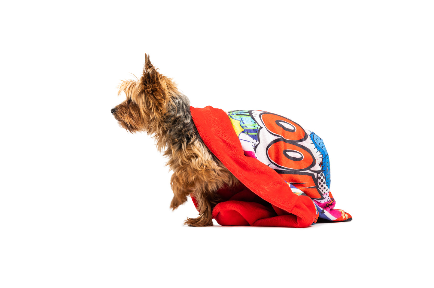 Dog portable bed