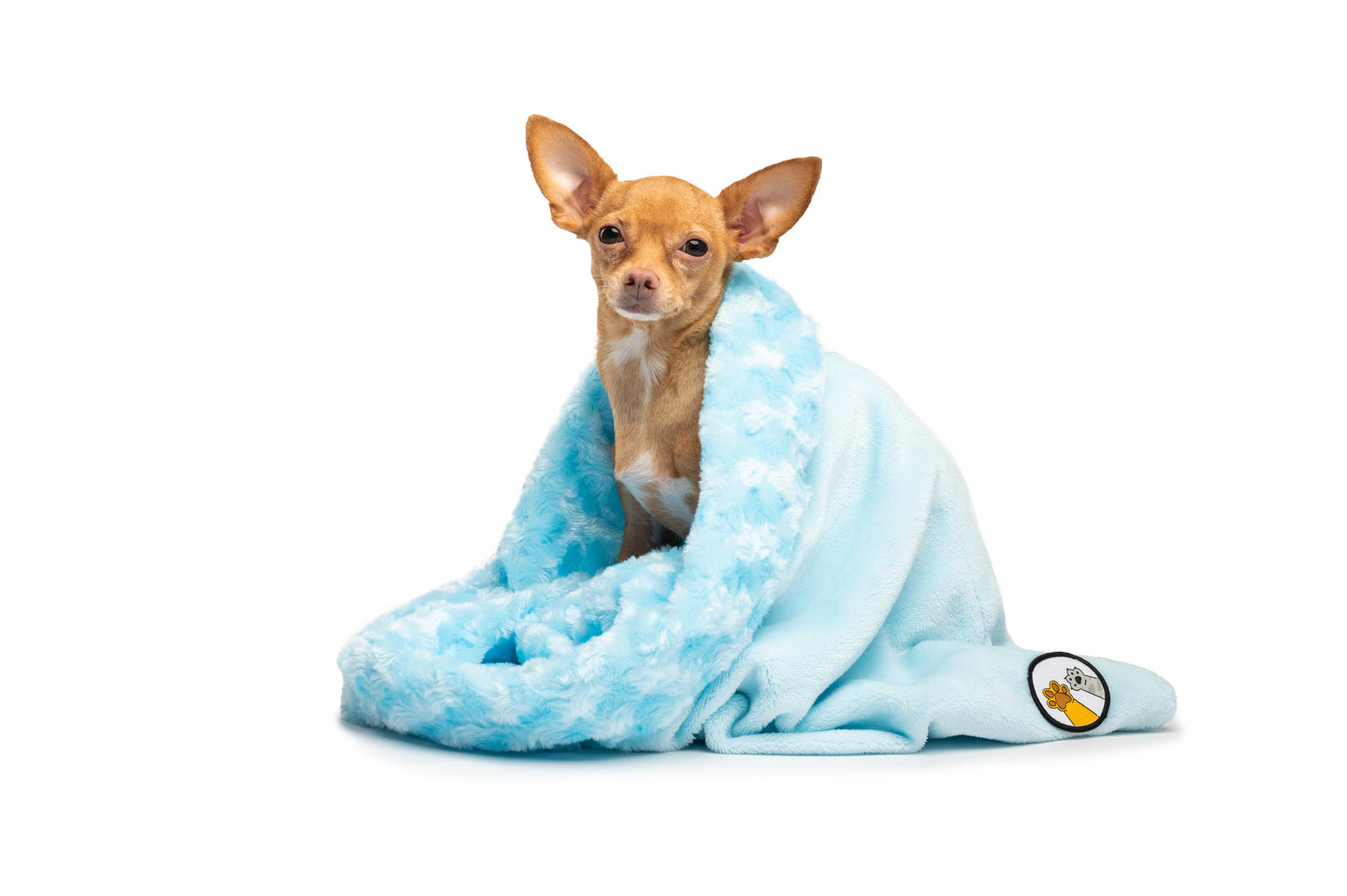 dog blanket blue