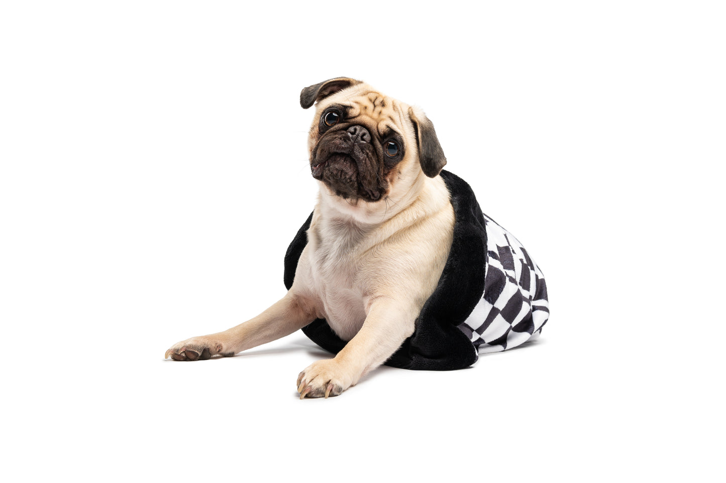 Sleeping bag for dogs